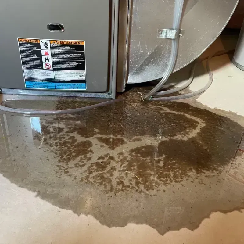 Appliance Leak Cleanup in Stanton, KY